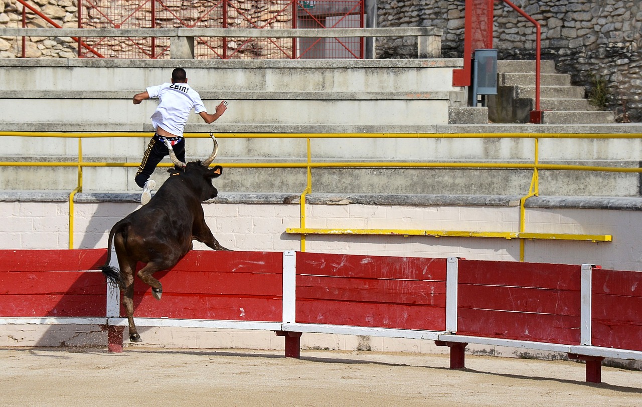 黑马
