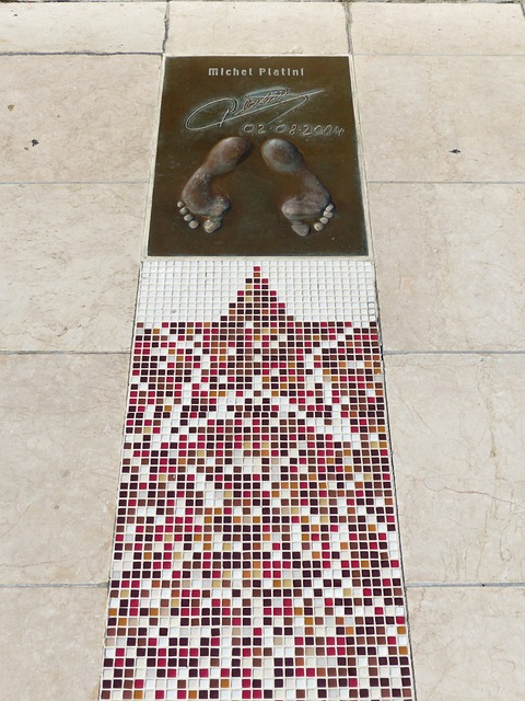 形成了可以 形成了可以