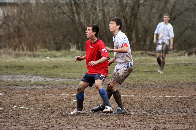 足球的世界 足球的世界