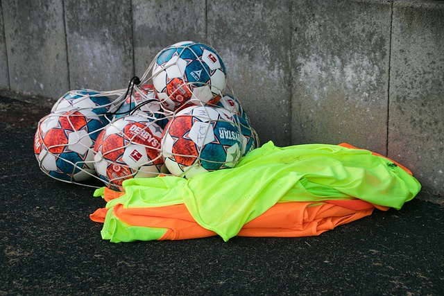 要经济体 要经济体