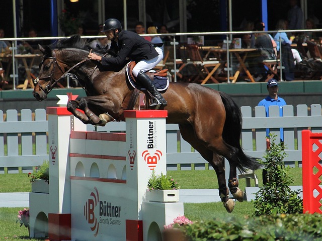 随着球队战 随着球队战