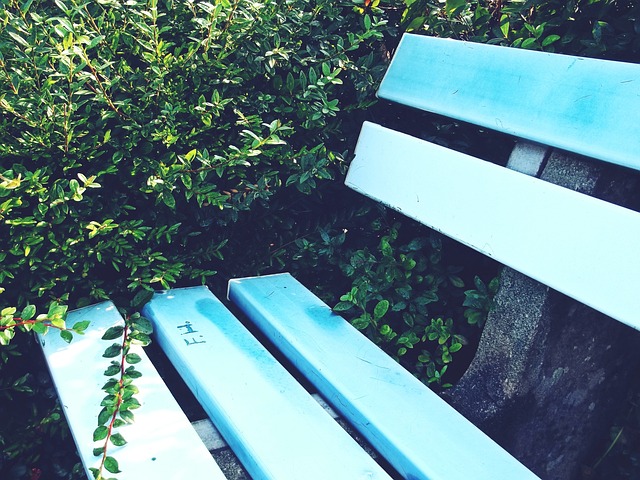 公司高层表 公司高层表