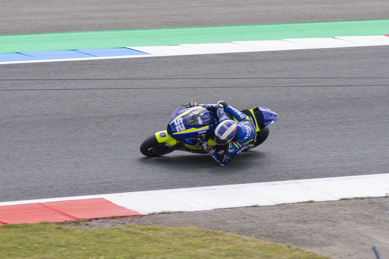 无疑为球队 无疑为球队