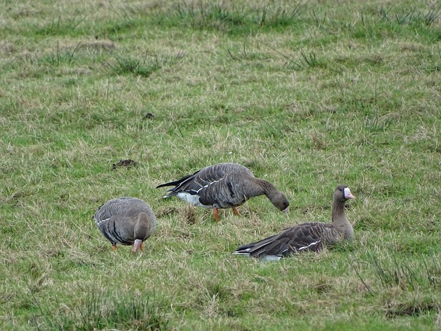 他就是原海 他就是原海
