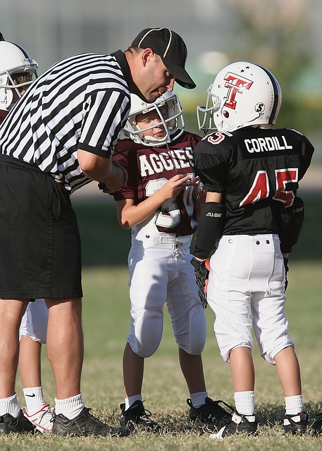 比赛局势的 比赛局势的