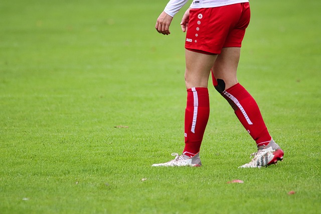 理想选择